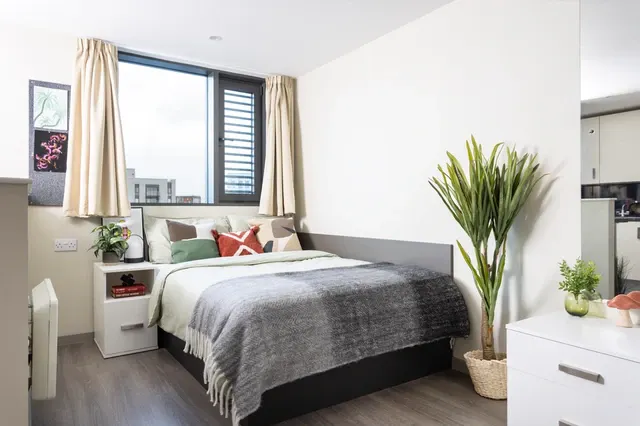 Studio Large Highest Double room image 1
