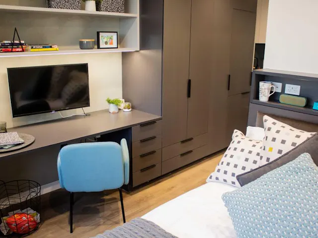 XXL Double Studio (Dual Occupamcy) room image 1