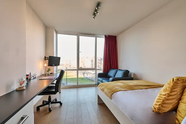 Studio Silver Plus room image 2