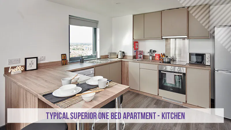 Superior Plus 1 Bed Apartments