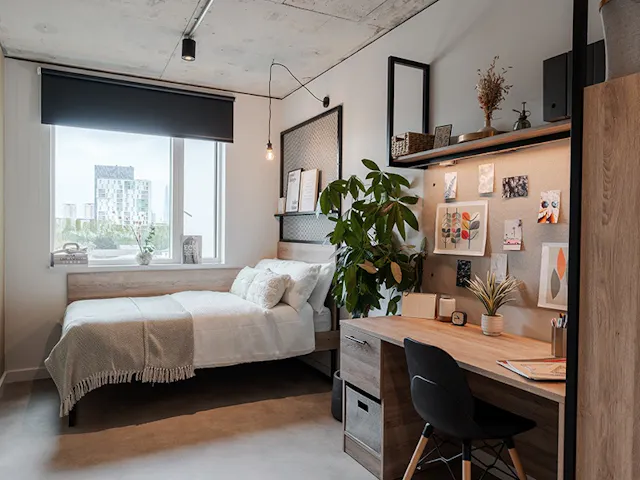 Superior room image 1