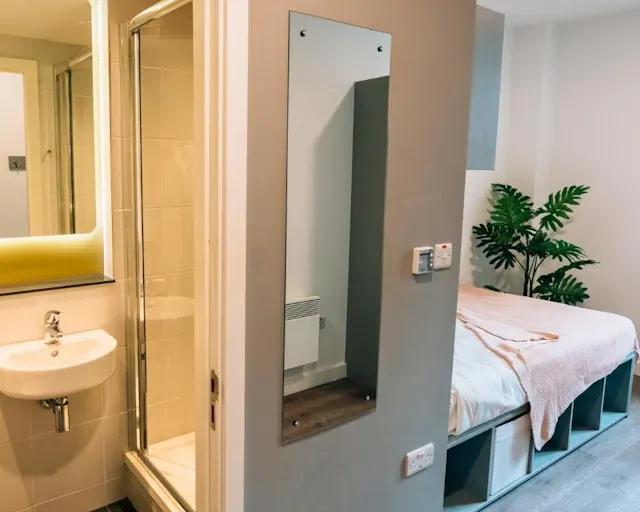 Deluxe Plus & Superior Plus room image 4