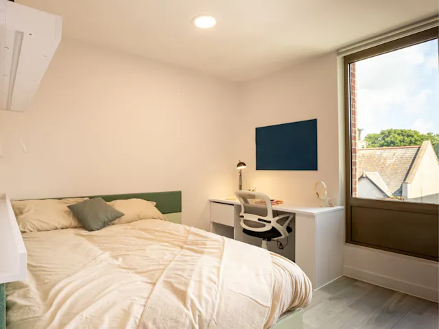 Superior Studio room image 1