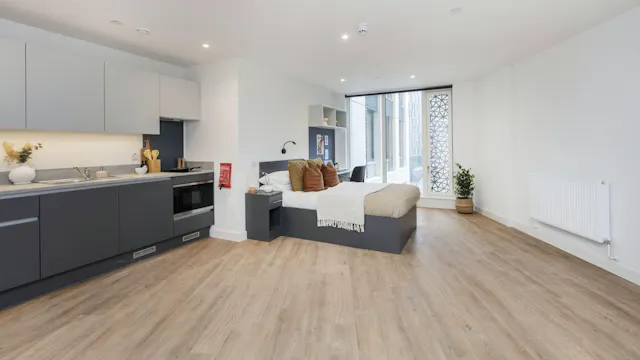 Superior Studio room image 4