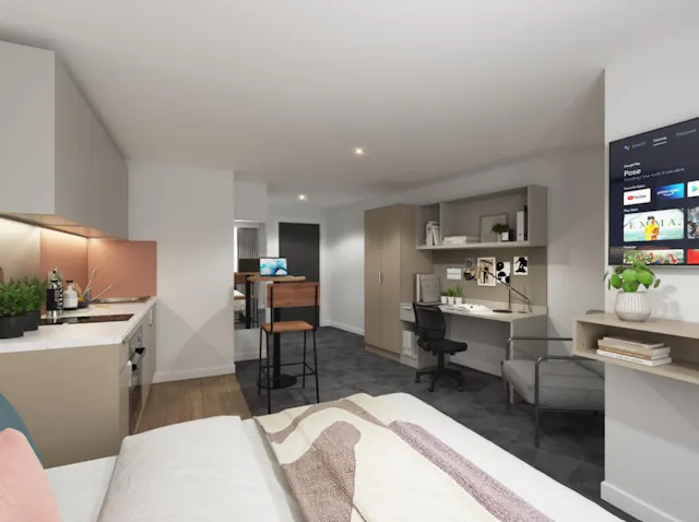 true Superior Studio Plus room image 1