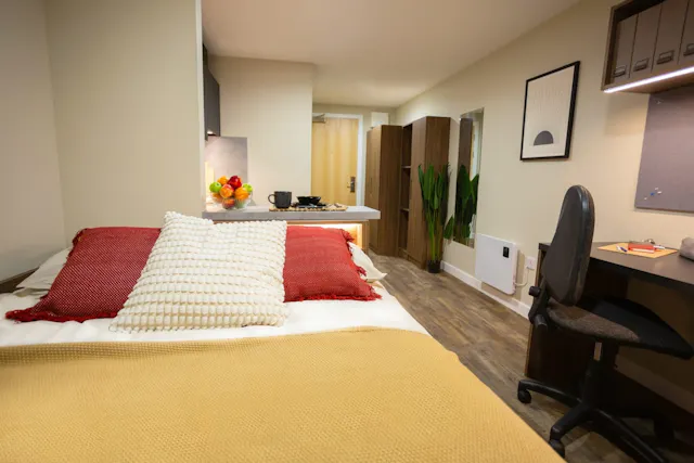 Superior Studio room image 1