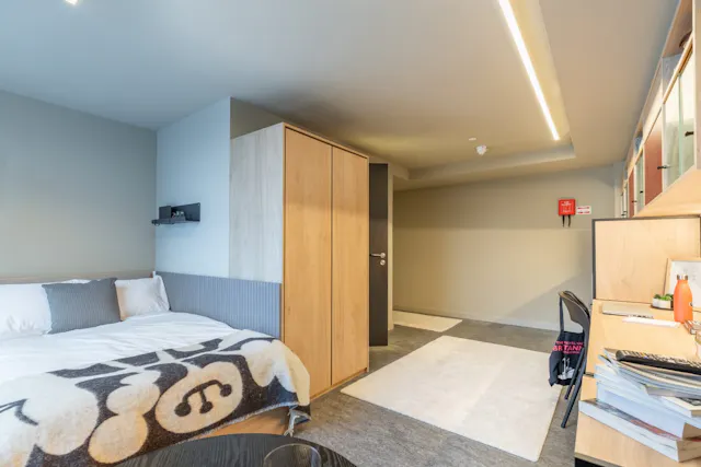 Superior Studio room image 1