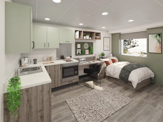 Superior Double Occupancy Studio room image 1