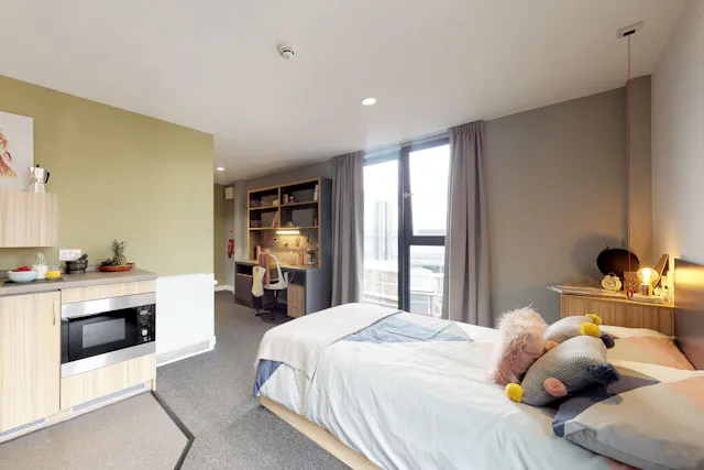Superior Studio room image 1