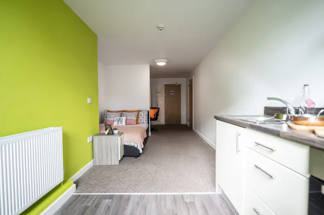 Superior Double Studio room image 3