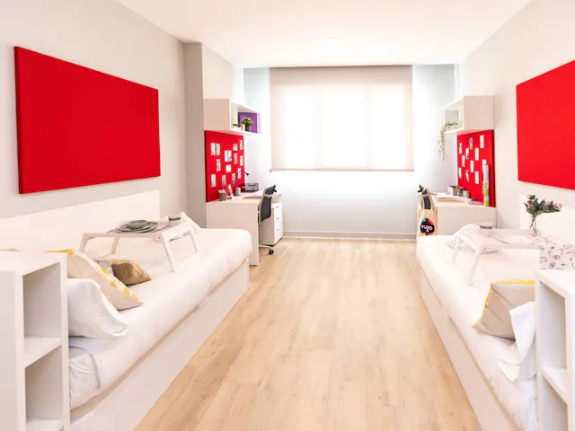 Superior Twin Room room image 2