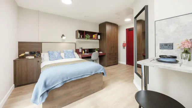 Large Premium Studio room image 1