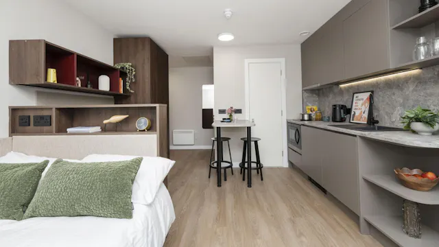 Premium Studio room image 2