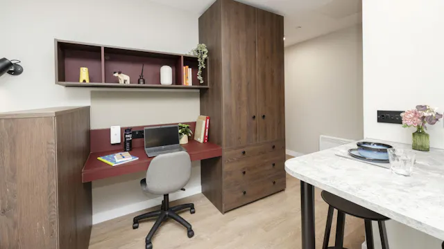 Premium Studio room image 4