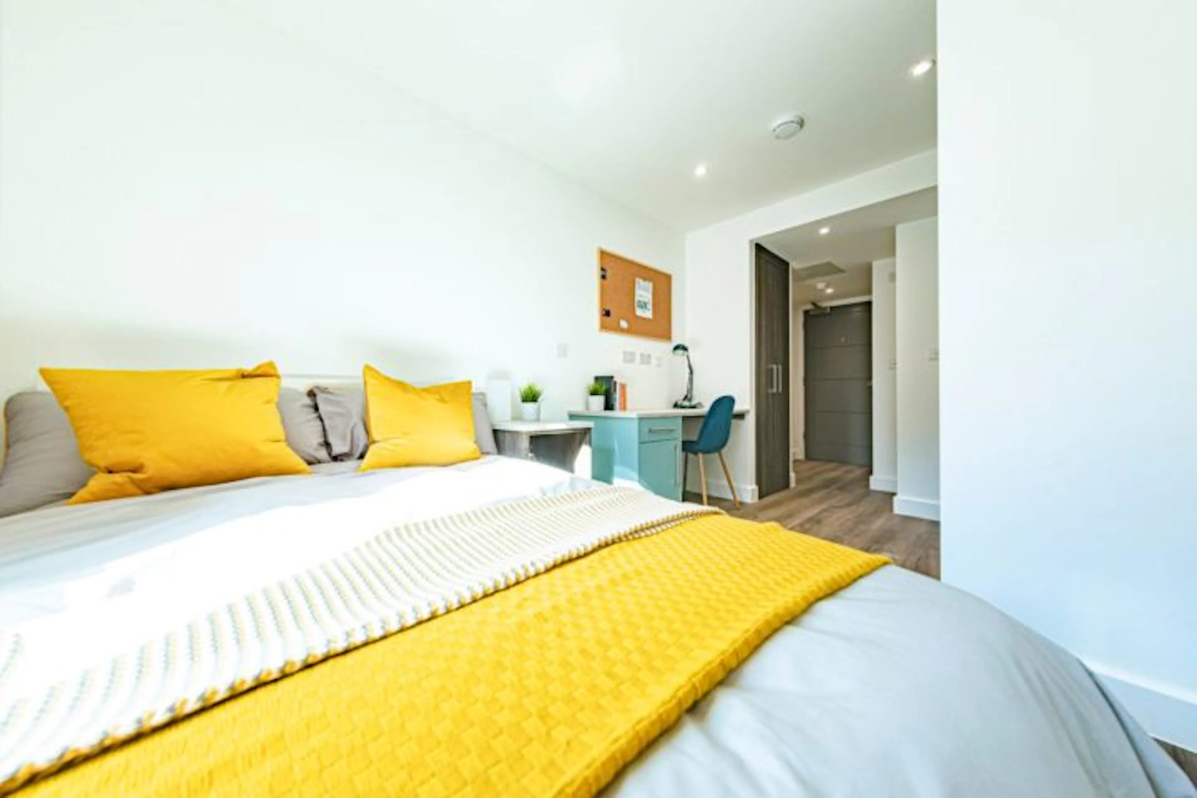 ROOM ROOM 1