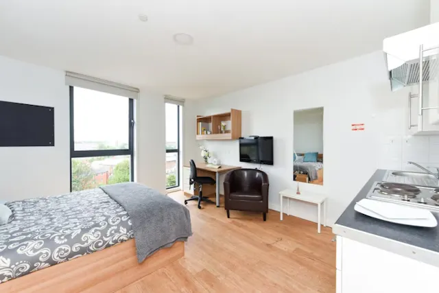 Annex Platinum Plus room image 1