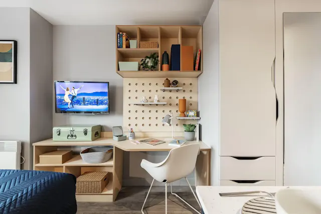 Executive Studio room image 5