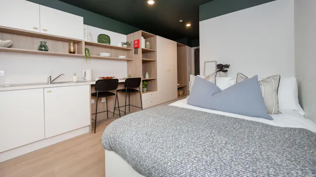 Gold Plus Studio room image 2