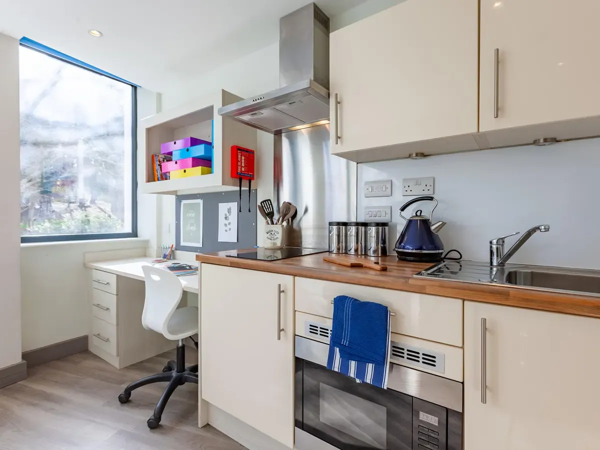 Top Floor Classic Studio KITCHEN 1