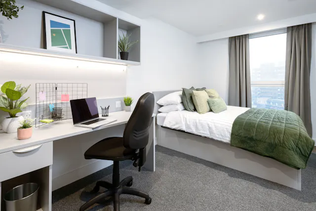 true Studio Plus room image 1