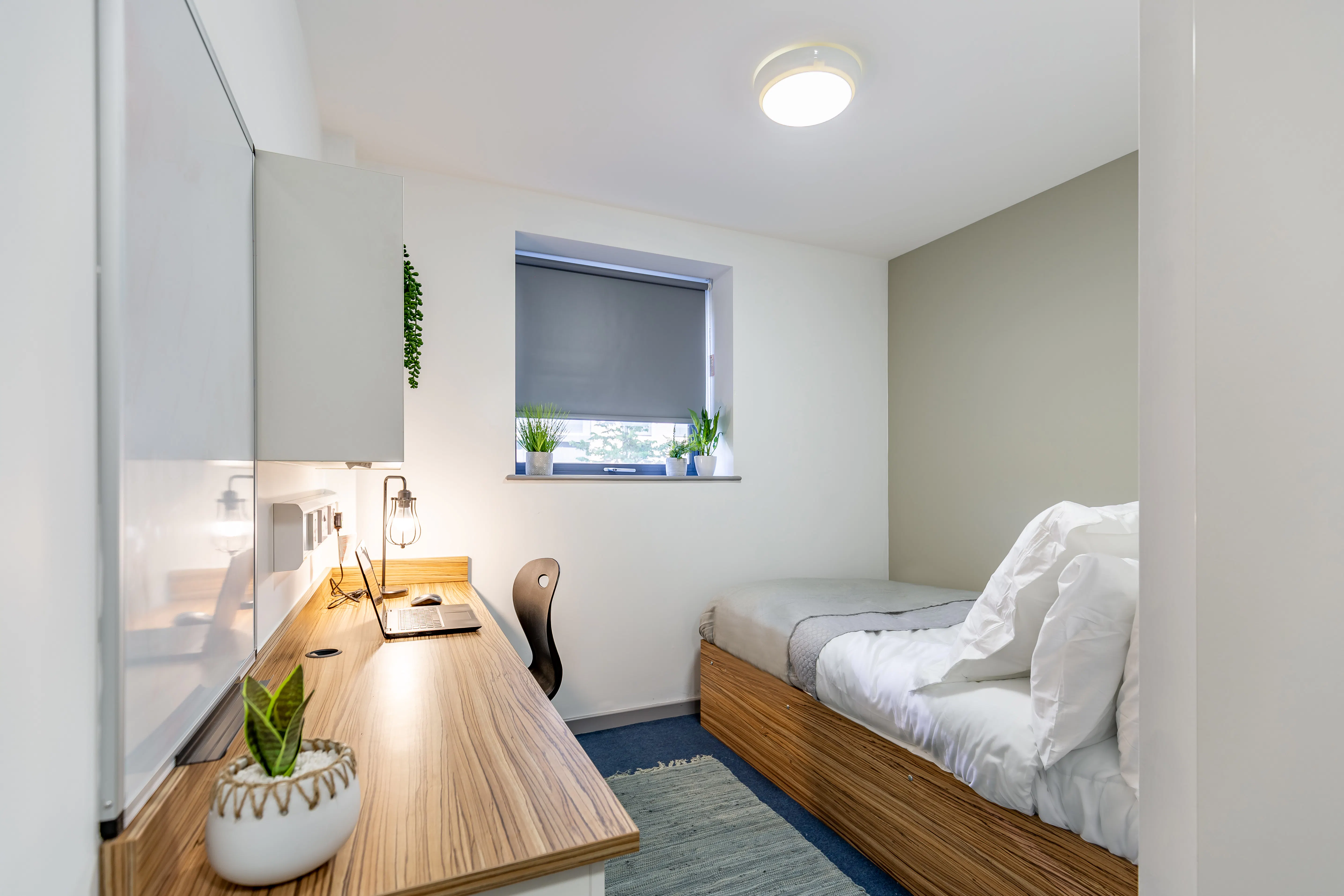 Standard Ensuite (Turner Court)