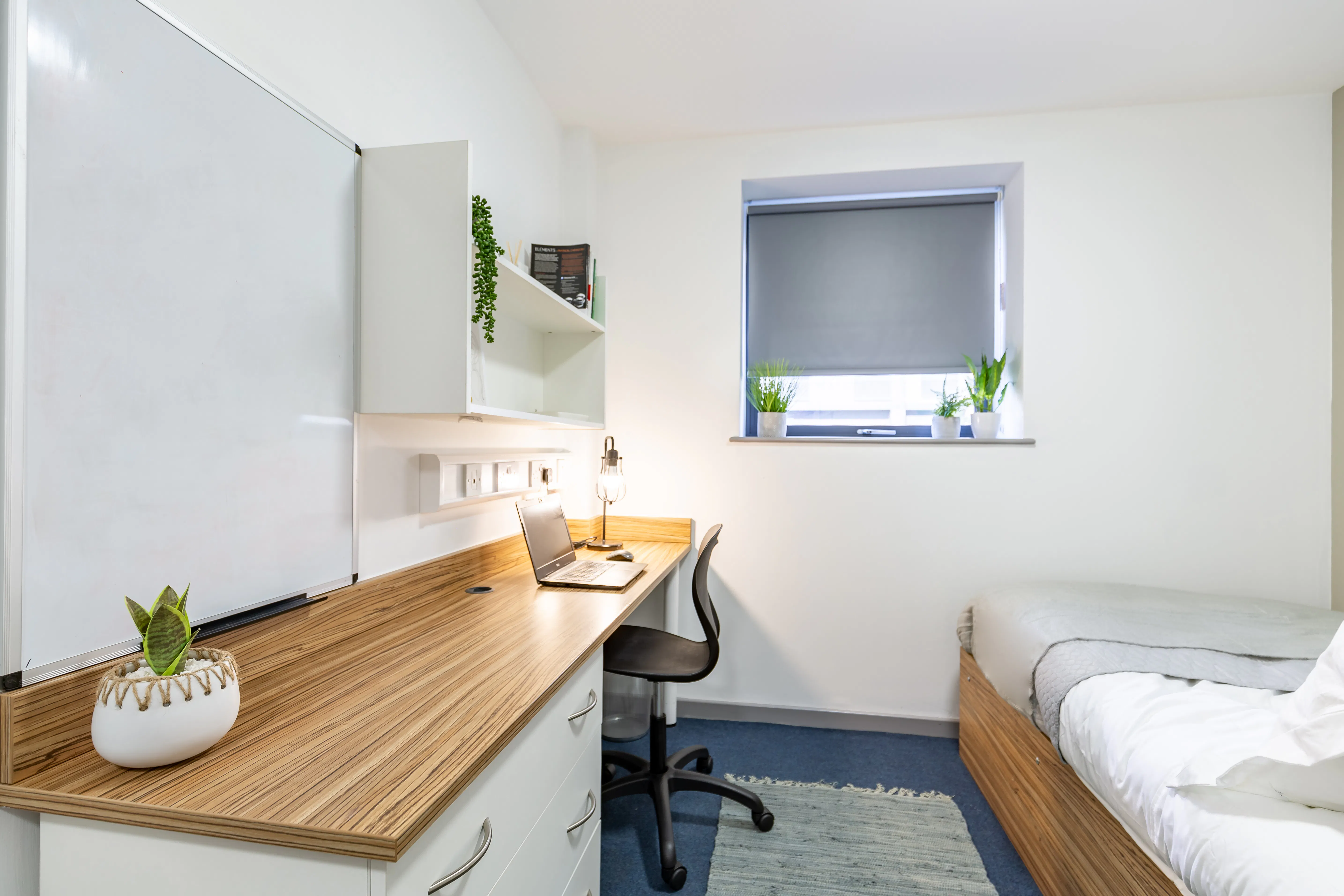 Standard Ensuite (Turner Court)