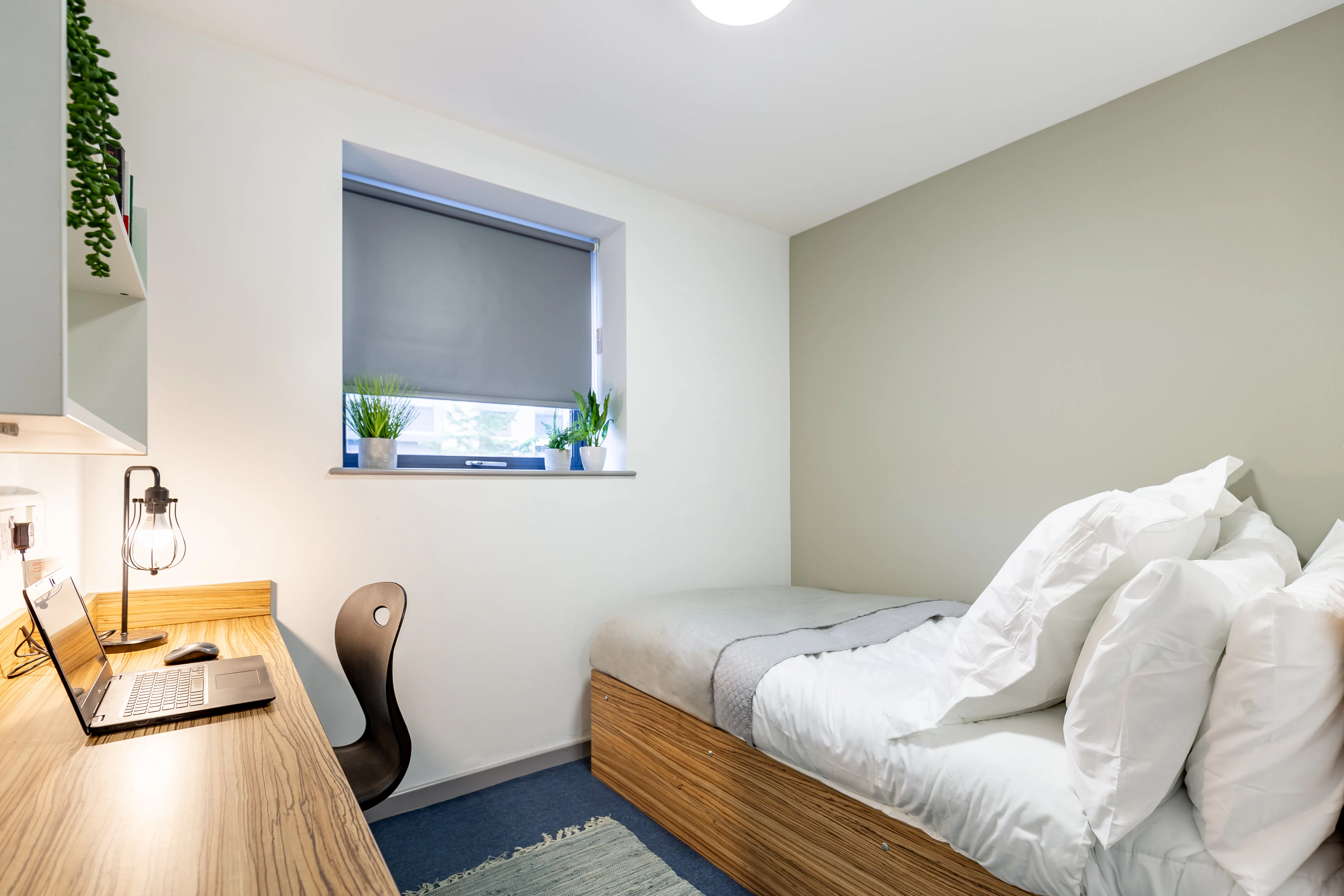Standard Ensuite (Turner Court)