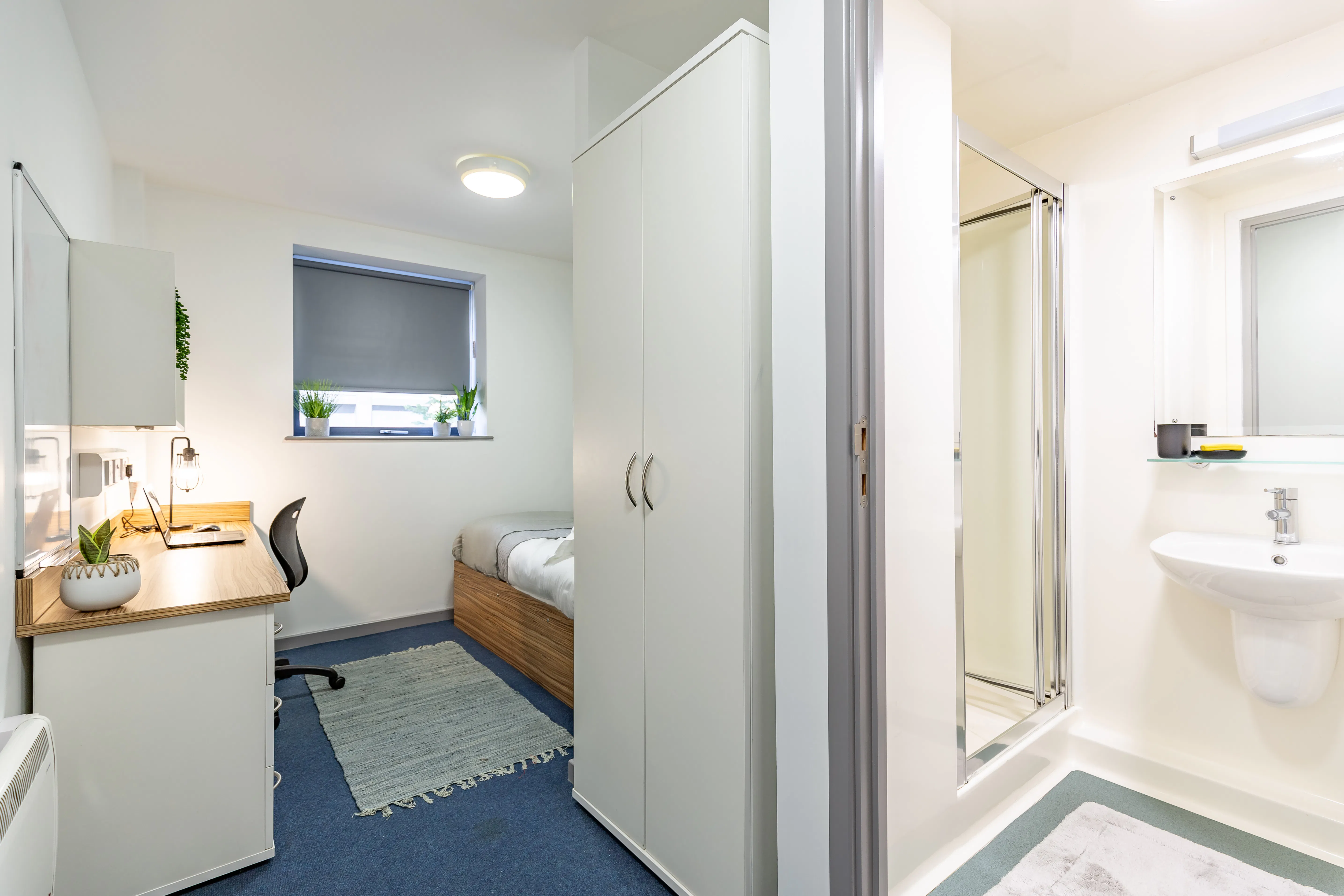 Standard Ensuite (Turner Court)