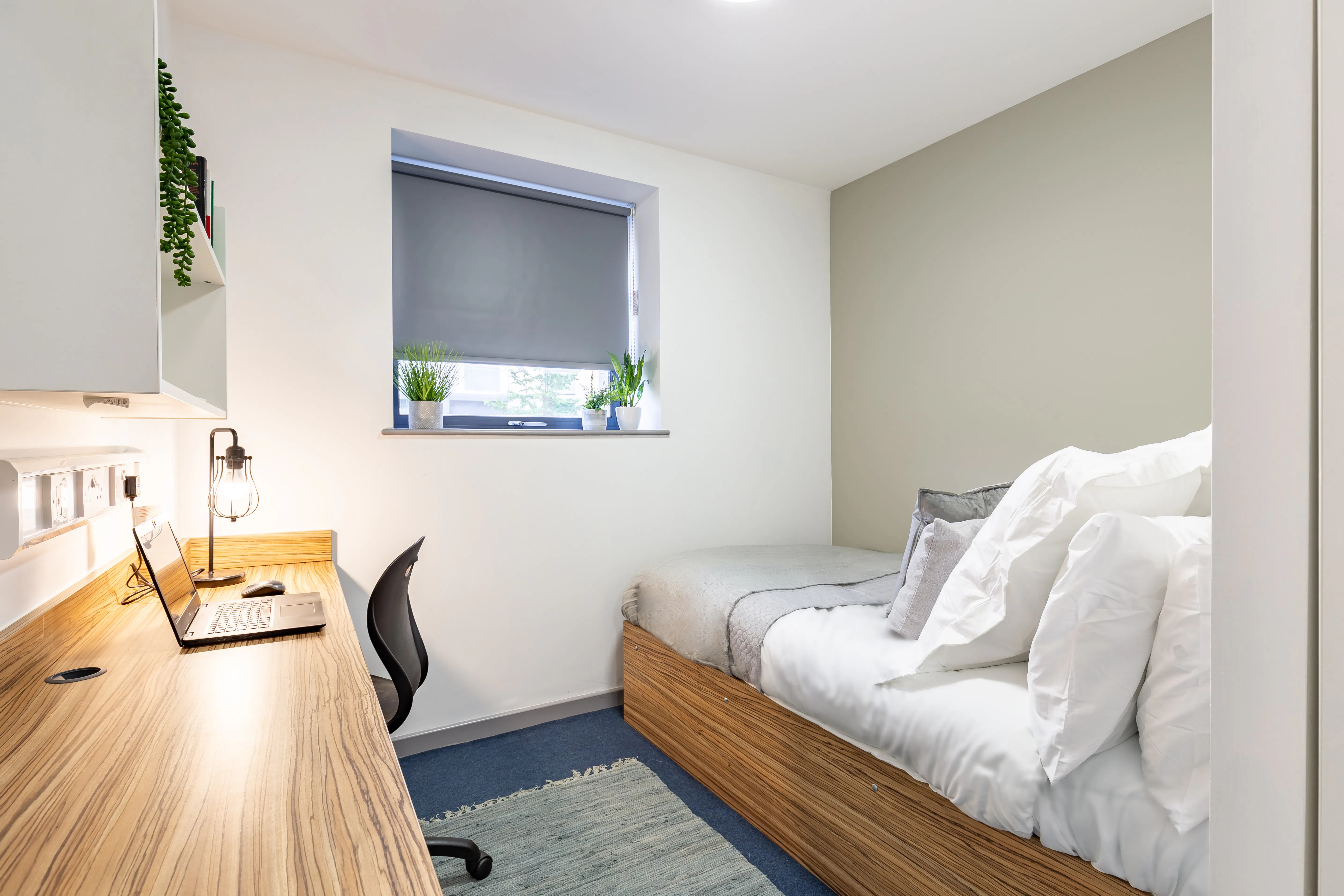 Standard Ensuite (Turner Court)