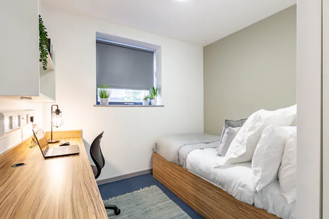 Standard Ensuite (Turner Court) room image 6