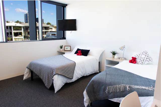 Twin Share King Single Studio room image 1