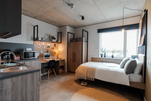 Ultimate Studio  room image 1