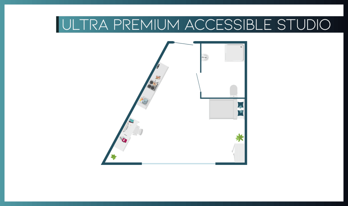 Ultra Premium Accessible Studio