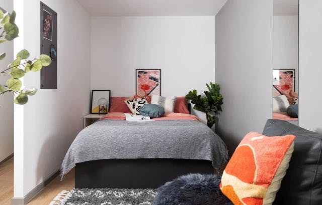 Studio Large Highest Double