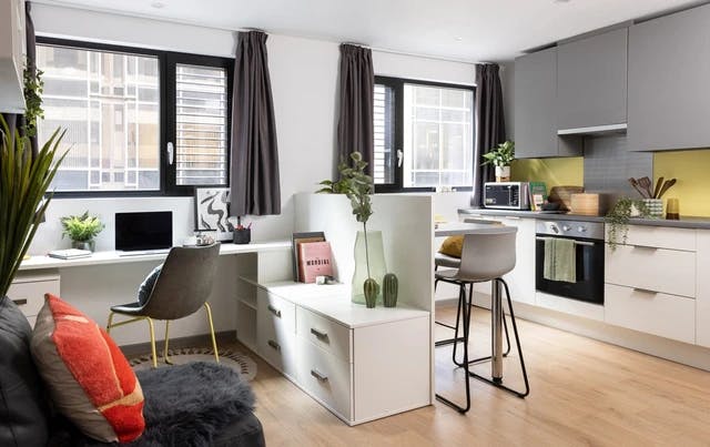 Studio Large Highest Double