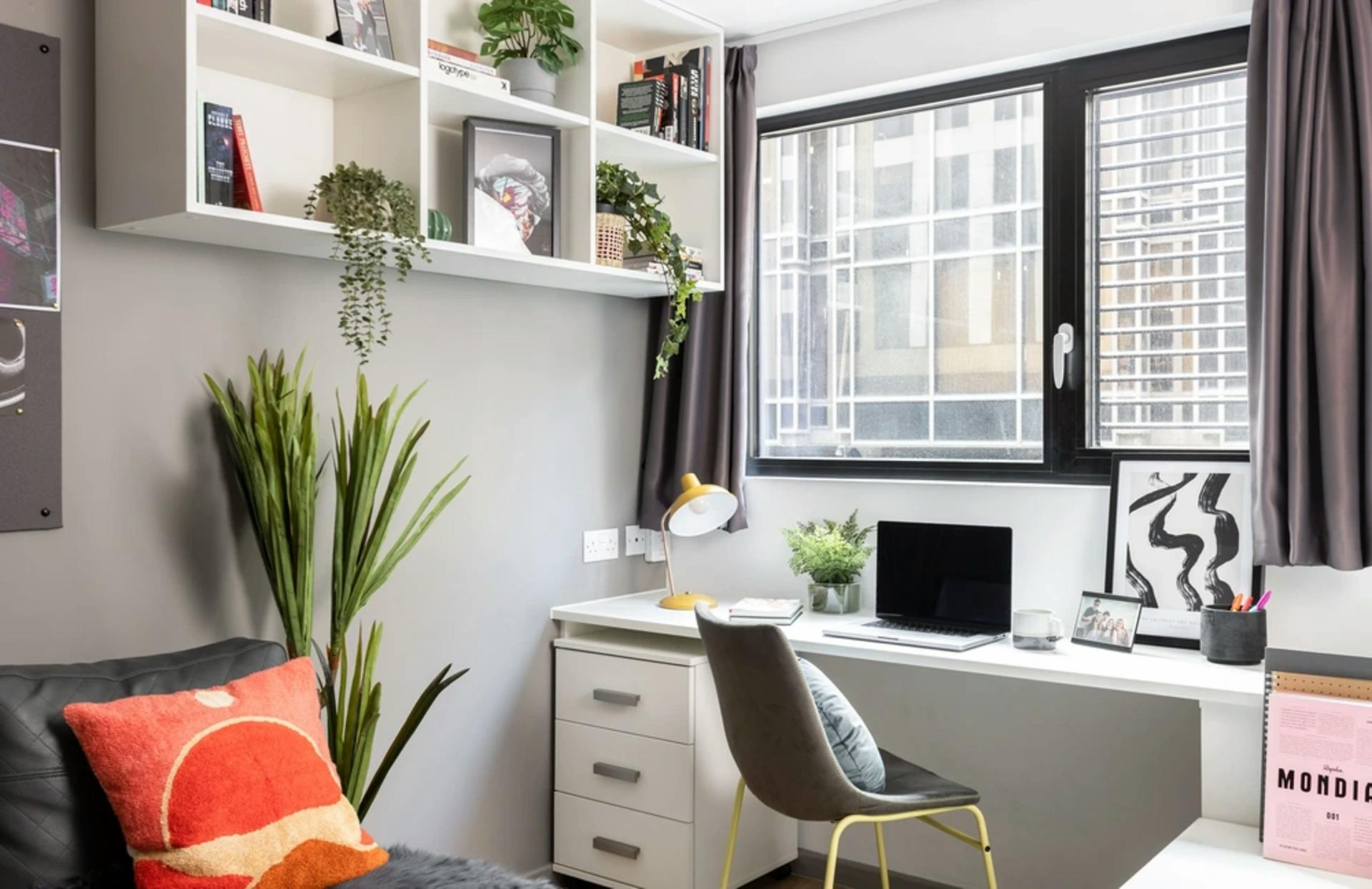 Studio Large Standard Double