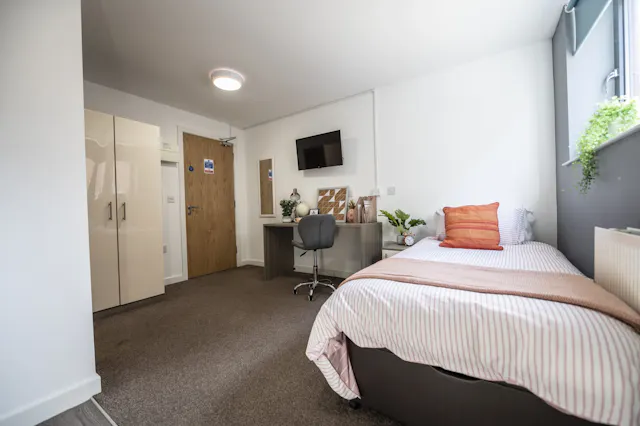 PLUS Classic Studio - Single Bed room image 1