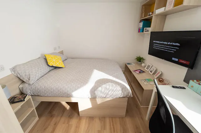 VIP Studio room image 1