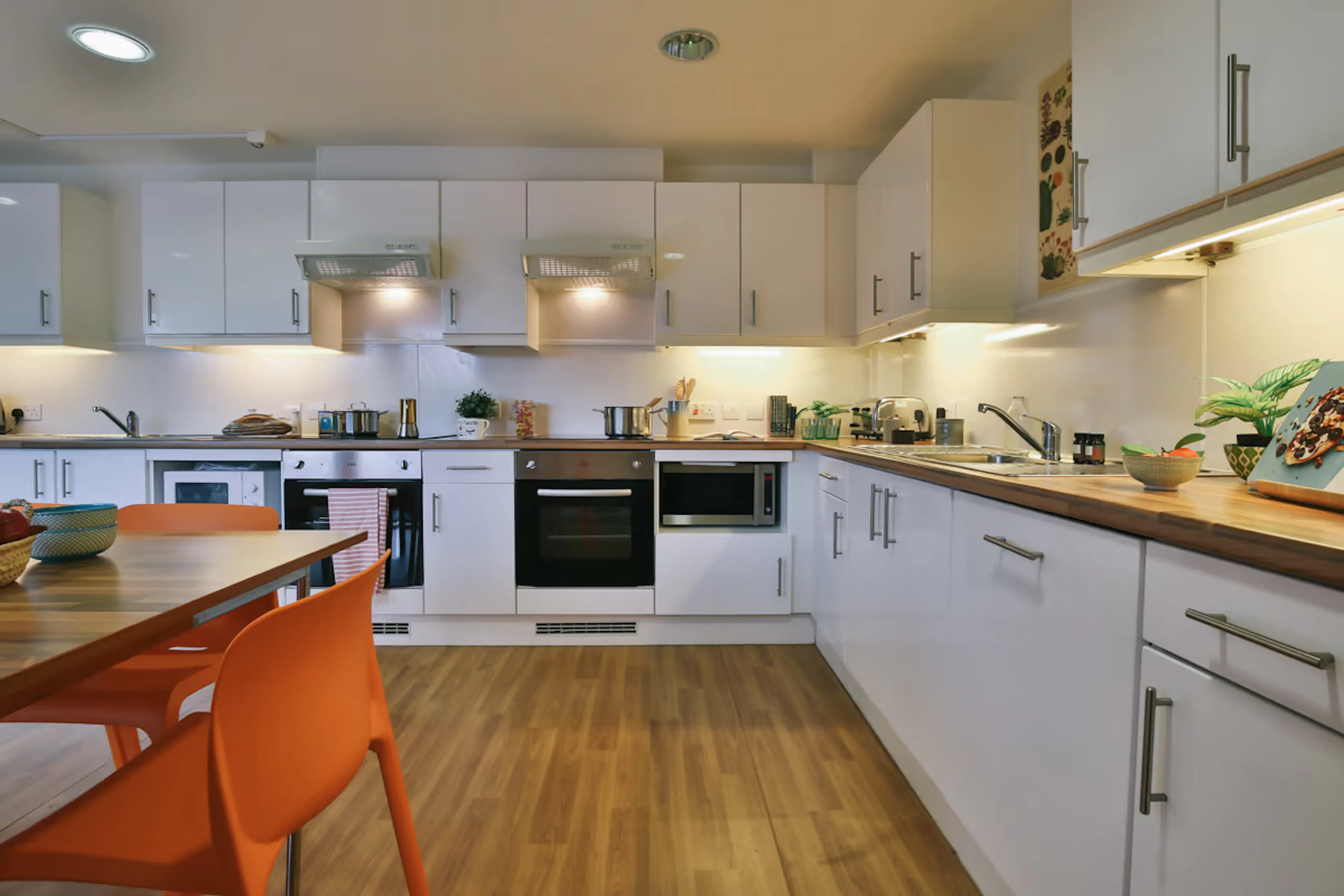 Classic Shared Apartment KITCHEN 1