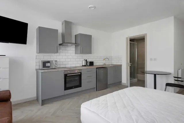 Deluxe Plus room image 1