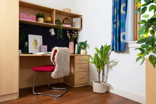 Wheelchair Accessible Studio Double room image 1