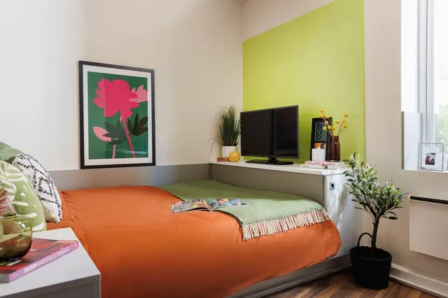 Wheelchair Accessible Studio Double room image 1