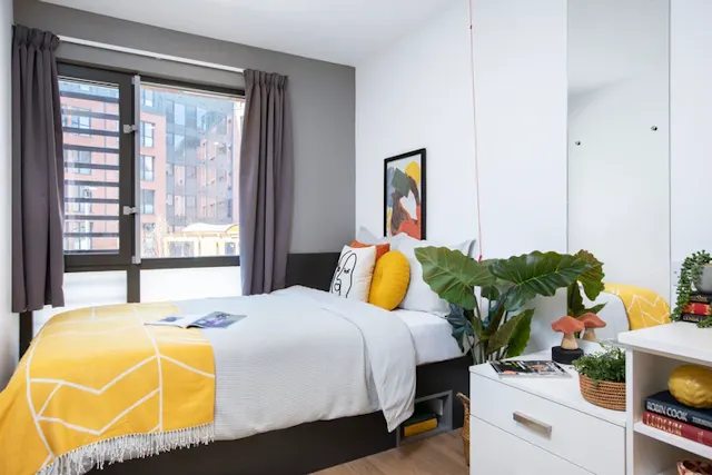Wheelchair Accessible Studio Double room image 1