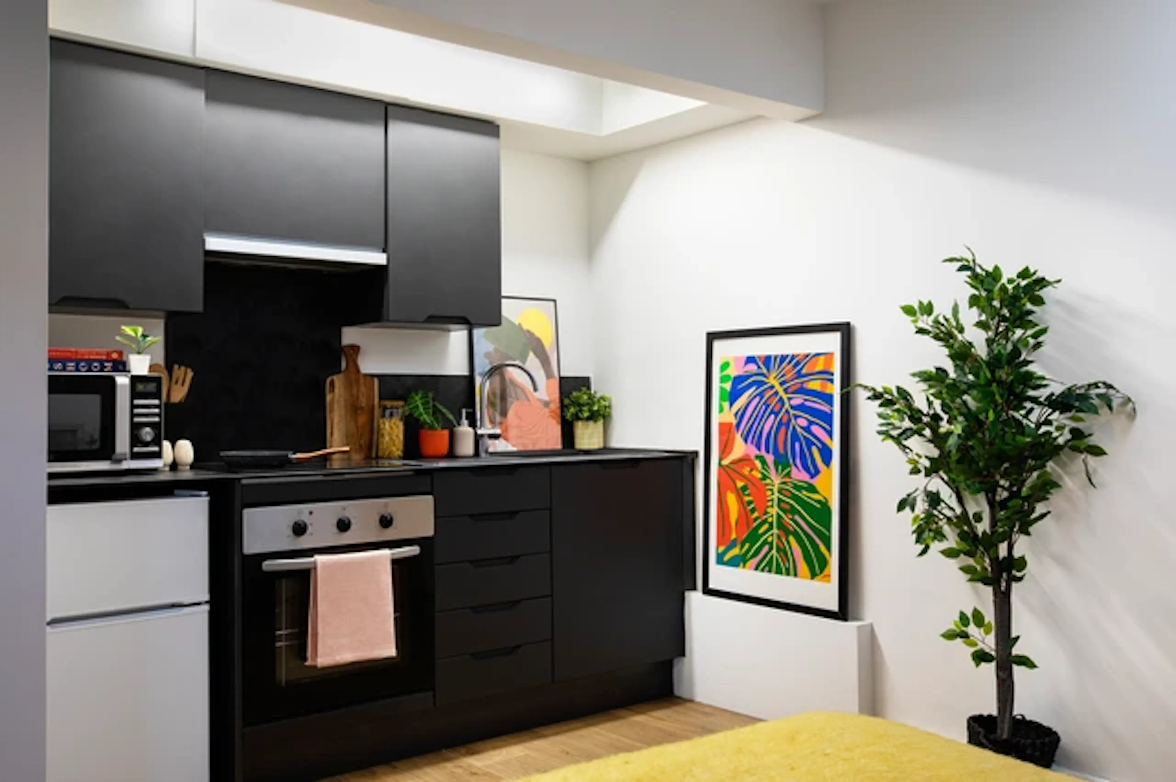 Wheelchair Accessible Studio Double KITCHEN 2
