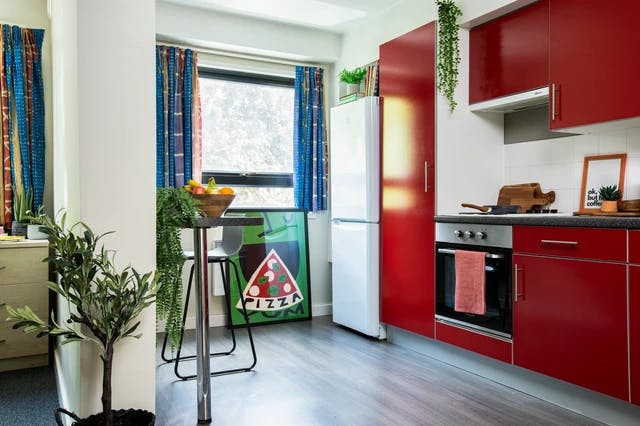 Wheelchair Accessible Studio Double