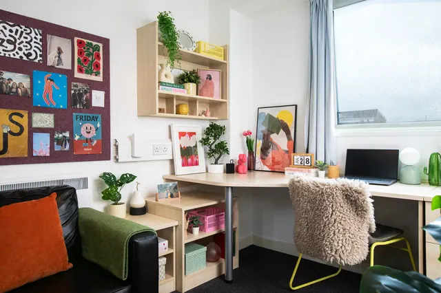 Wheelchair Accessible Studio Single room image 2