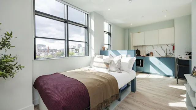 Platinum Plus Studio room image 1