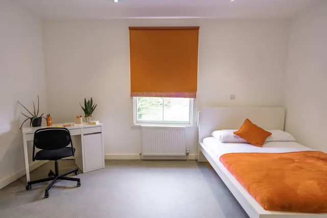 XL Double room image 1
