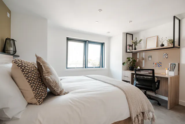 Premium room image 2