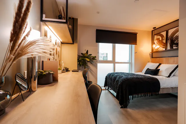 Premium Studio room image 2